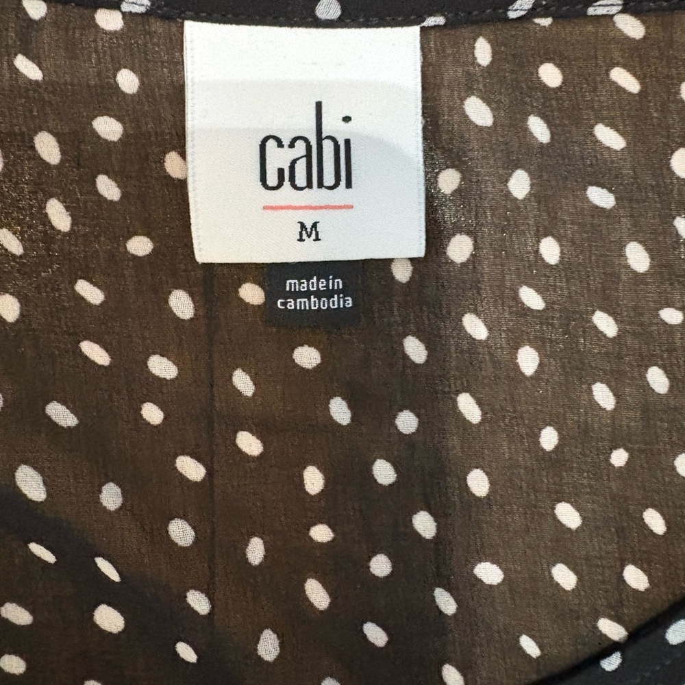 CAbi Sinatra Blouse Sheer Polka Dot Ruffle Top Black 2026 Indie Sleaze Aesthetic - Picture 4 of 8
